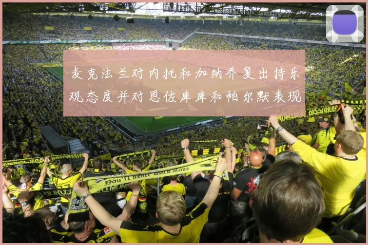 麦克法兰对内托和加纳乔复出持乐观态度并对恩佐库库和帕尔默表现表示满意